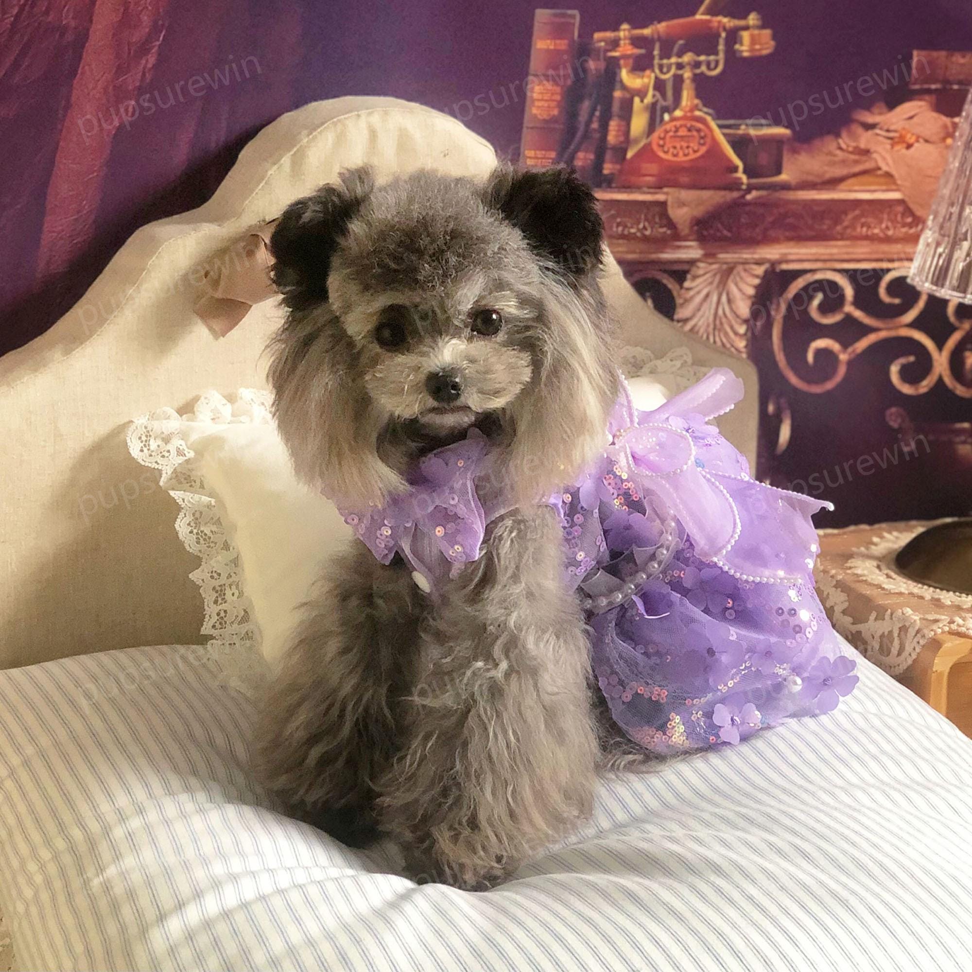 3D Flower Dress for Dog, Purple Fancy Dog Dress, Cat Dog Wedding Dress, Dog  Birthday Quinceanera Outfit, Princess Costume Pet Clothes Custom - Etsy