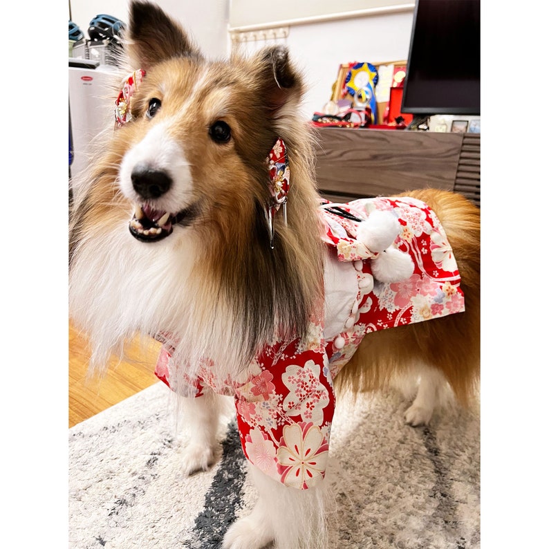Kimono à fleurs roses pour chiens et chats, costume national japonais pour animaux de compagnie chats chiens Yukata, costume de festival des cerisiers en fleurs vêtements pour animaux de compagnie Déguisements image 3