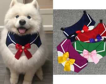 samoyed clothes