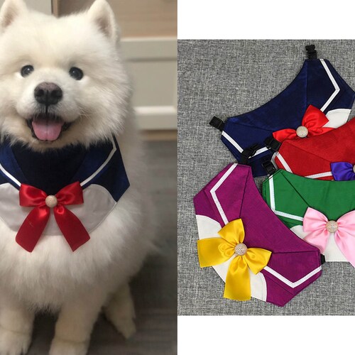 sailor moon dog costume