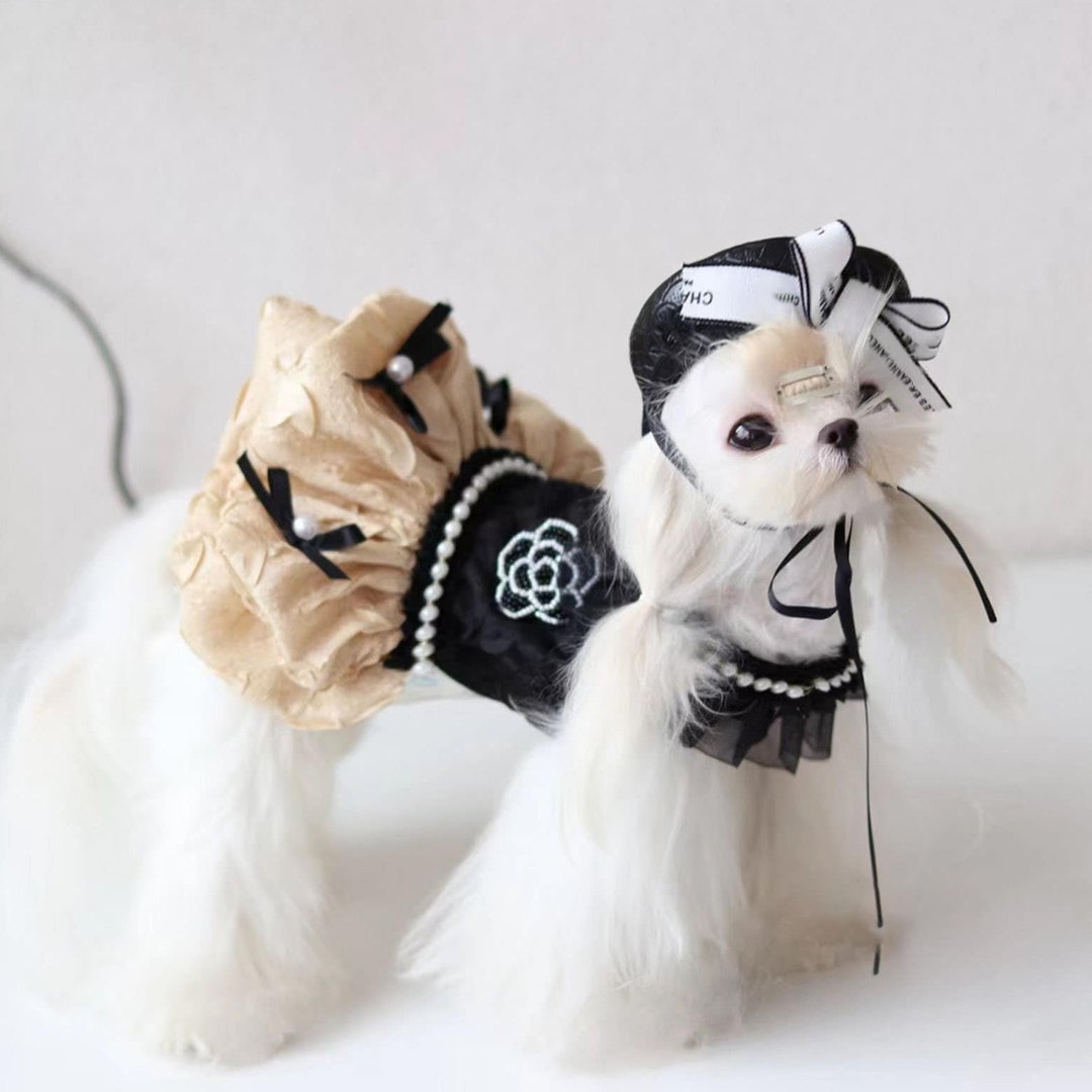 Vintage Dog Dress With Camellia Flower, 1960s Black Lace Pet Prom Gown