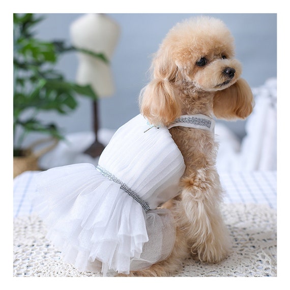 Robe de mariée pour chien blanc, costume de demoiselle d'honneur