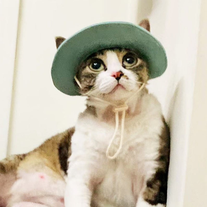 Cappello a secchiello per gatti Sphynx con fori per le orecchie, cappello estivo per gatto, topee per gatti senza peli Devon Rex, cappello con visiera Sunbonnet per gatti, berretto di protezione solare cappello per animali domestici Green