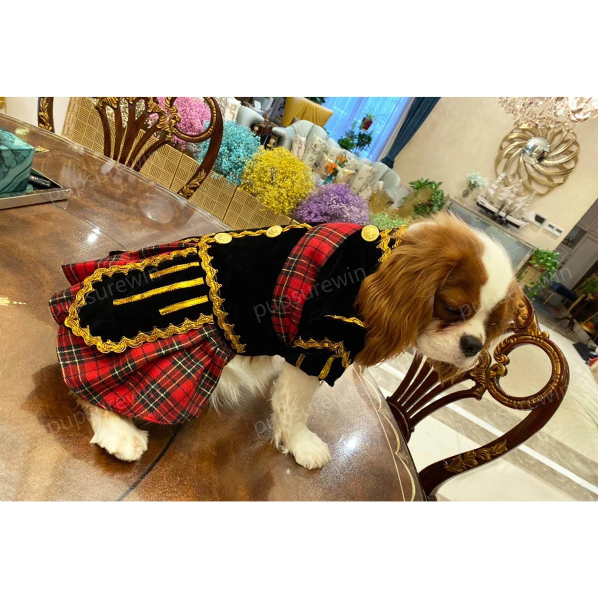 Costume Da Principe Per Cani – Completo Con Corona Per Natale E Compleanno, Taglia L
