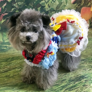 Dog Halloween Costume Inspired from Snow Princess, Cosplay Costume for Dogs, Custom Pets Clothes, Birthday Dog Outfit Blue Red Yellow Dress