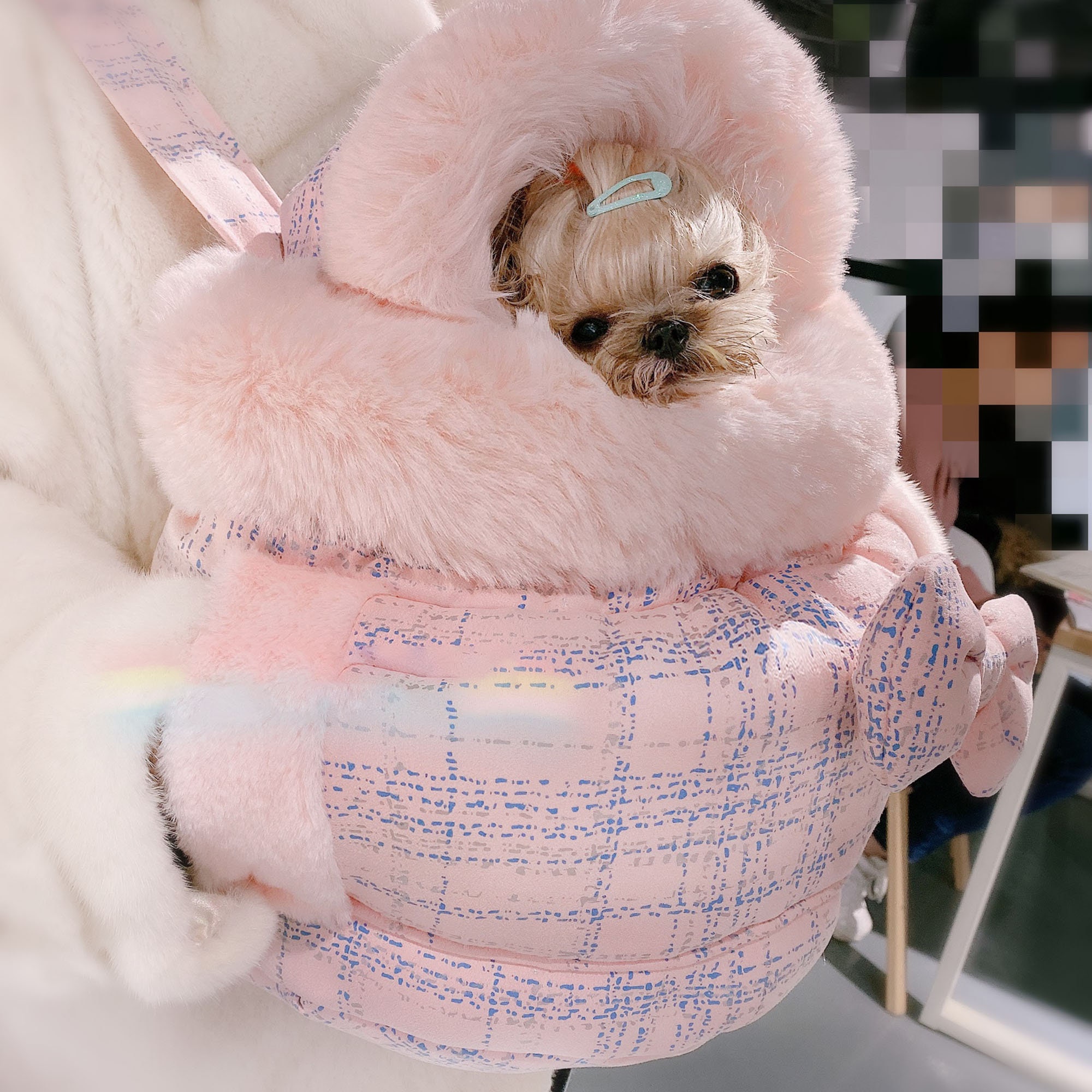 Designer Dog Carriers – TeaCups, Puppies & Boutique