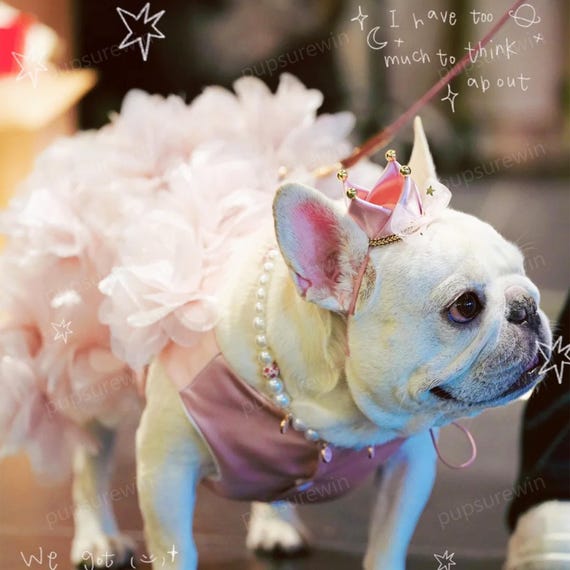 princess dog dress Warrior - looking nerf herders Laifug Dog Dress Puppy Print