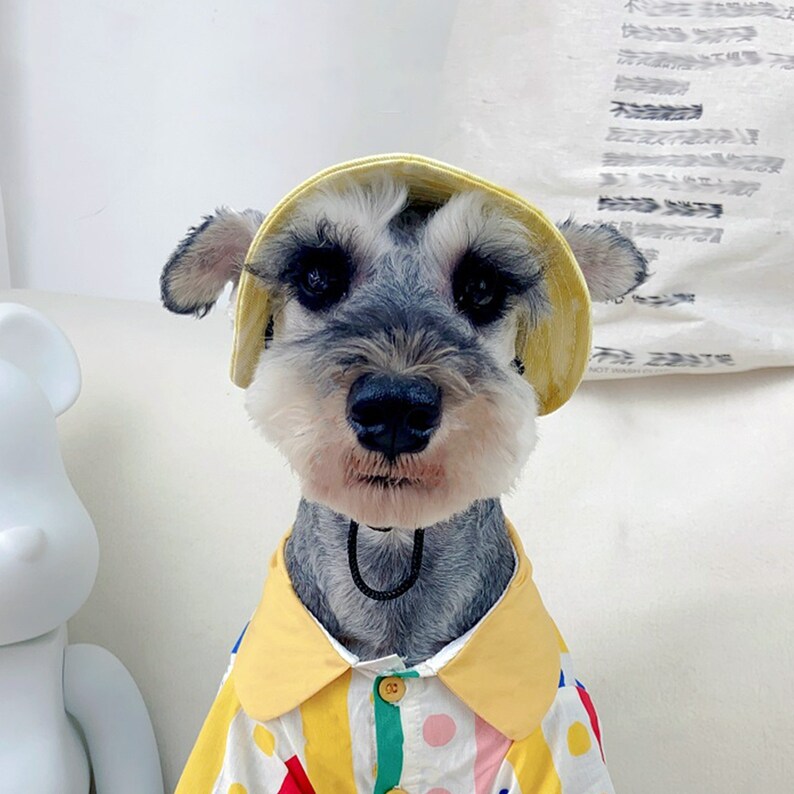 Summer Dog Bucket Hat with Ear Holes, Schnauzer Dog Sunbonnet, Visor Hat for Dog, Outdoor Sun Protection Cap Travel Hiking Hat for Pets imagem 3