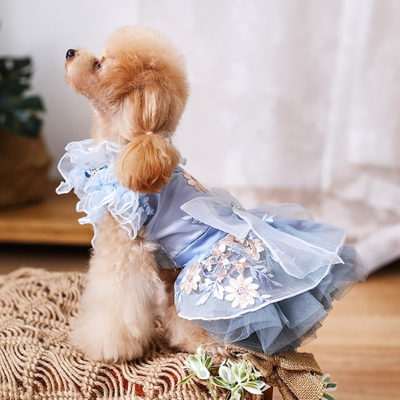 pet dress