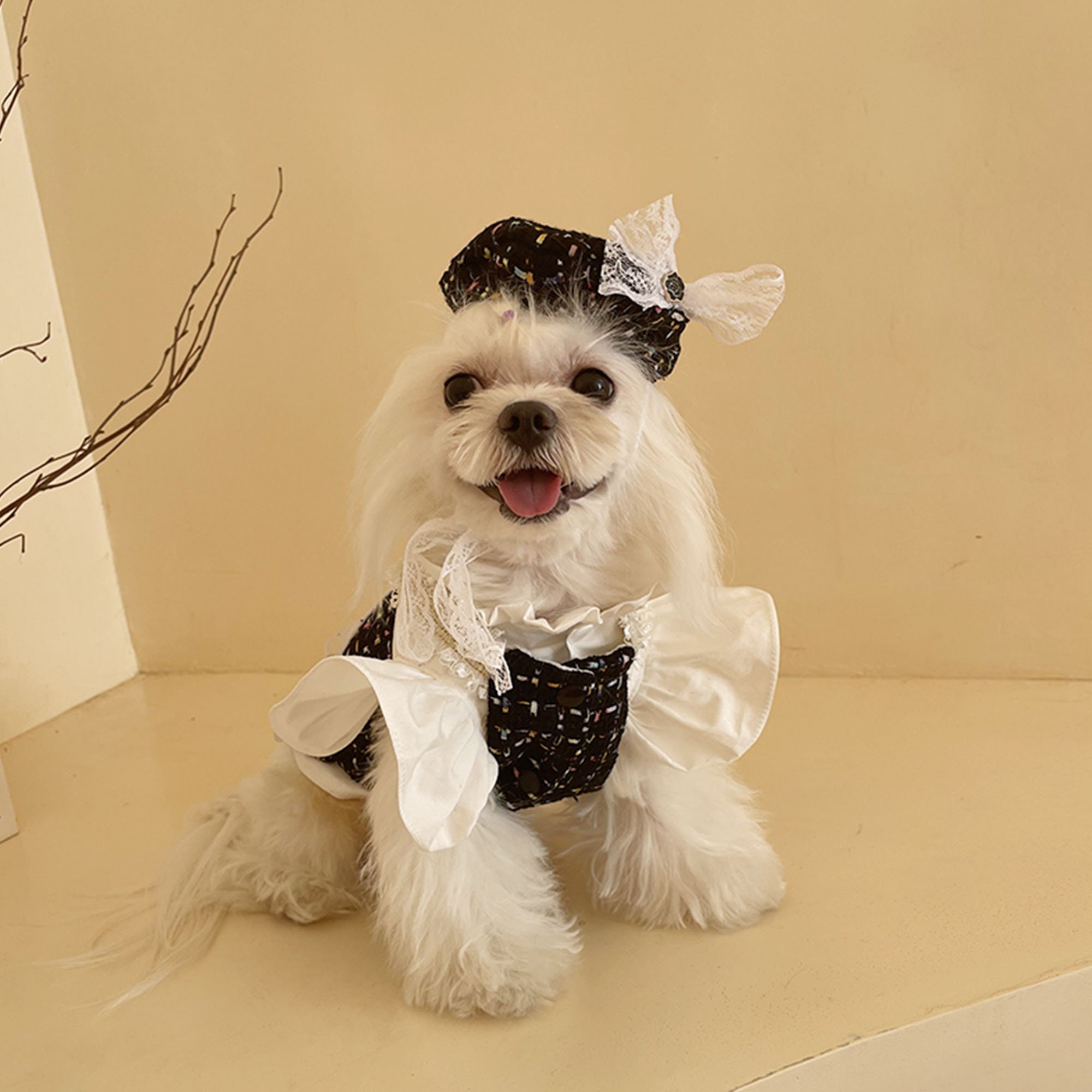 Tweed dog dress with tutu skirt – RosaliePets