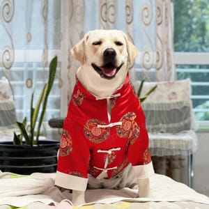 Large Dog New Year Outfit Chinese Spring Festival Costume