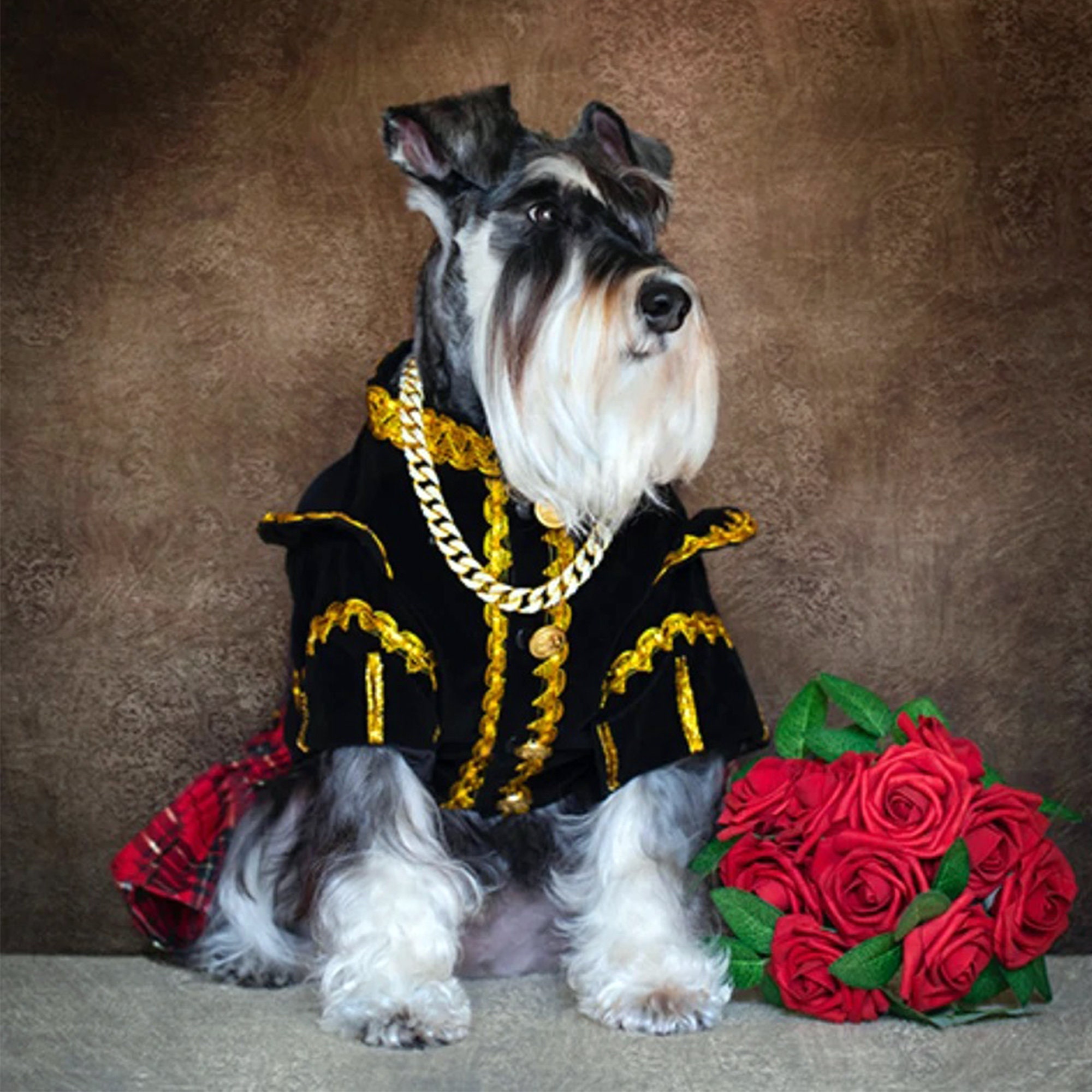 Dog Scottish Prince Costume Dog Scottish Military Outfit Red Tartan Scottish Dog Dress Pet Halloween Costume Cosplay Party Attire Custom Etsy