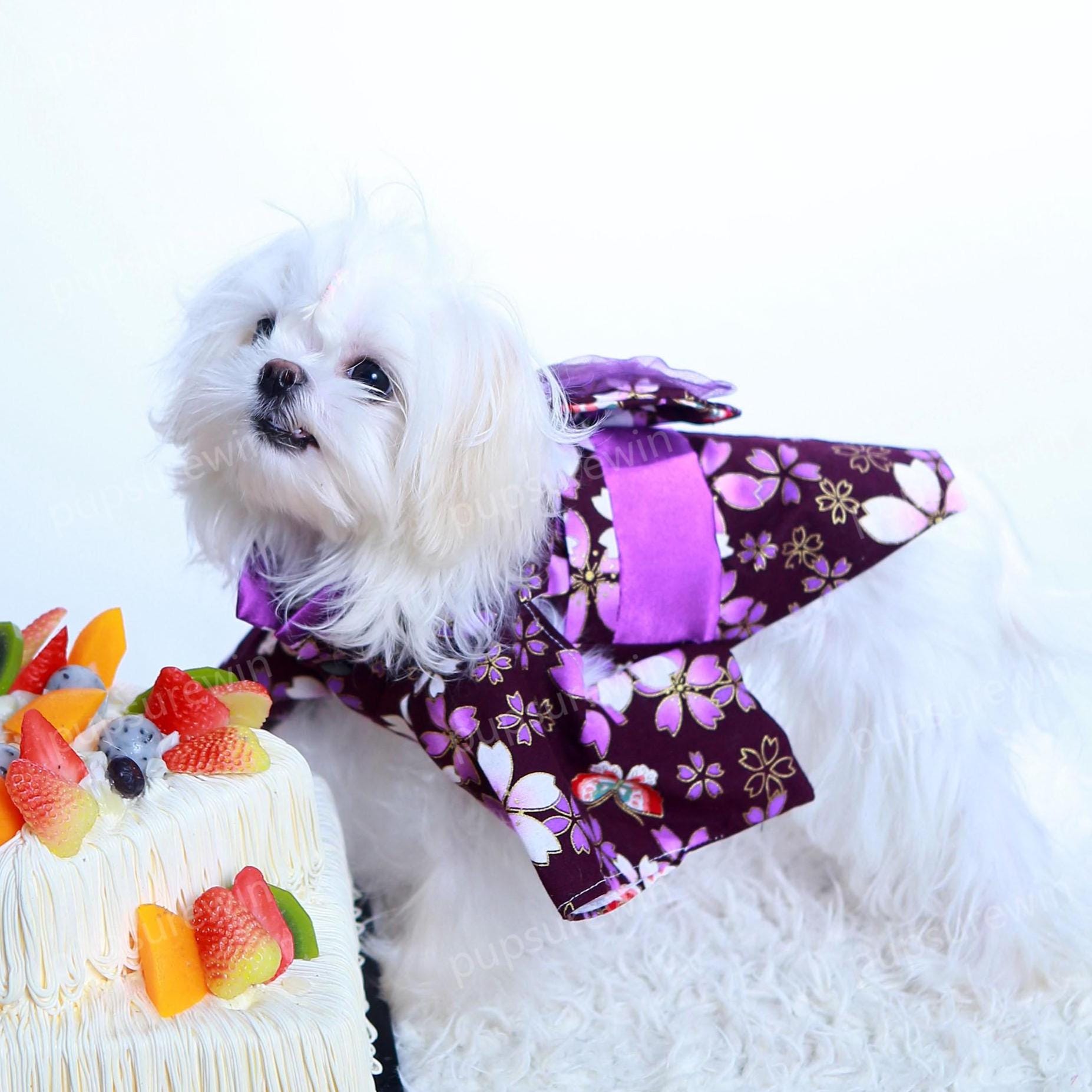 Dog Japanese Kimono, Purple Sakura Blossom Festival Costume for