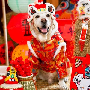 Chinese New Year Dog Costume, Spring Festival Dancing Dragon Outfit for Large Dogs and Cats,Custom Pets Clothes Red Jacket with Long Sleeves