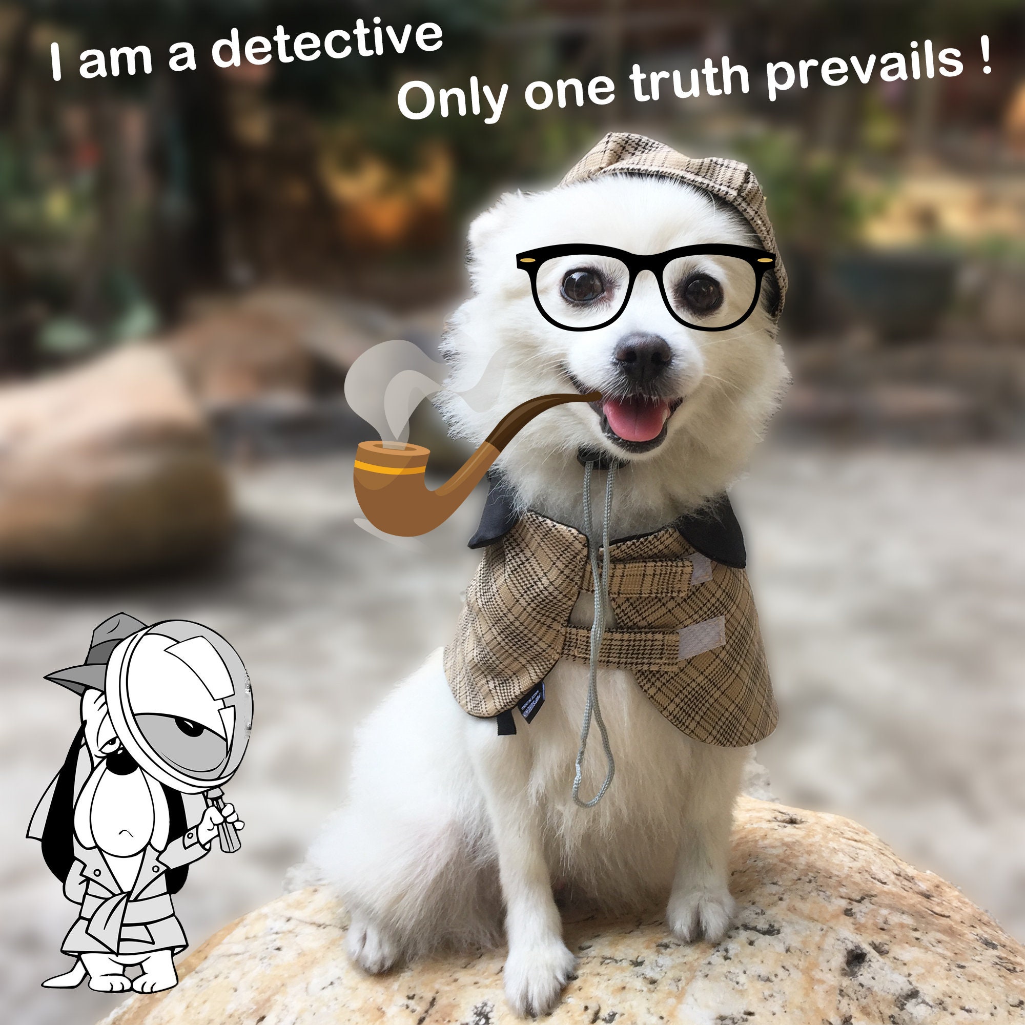 Dog Detective Costume Halloween Sherlock Holmes Outfit Dog Cat Etsy