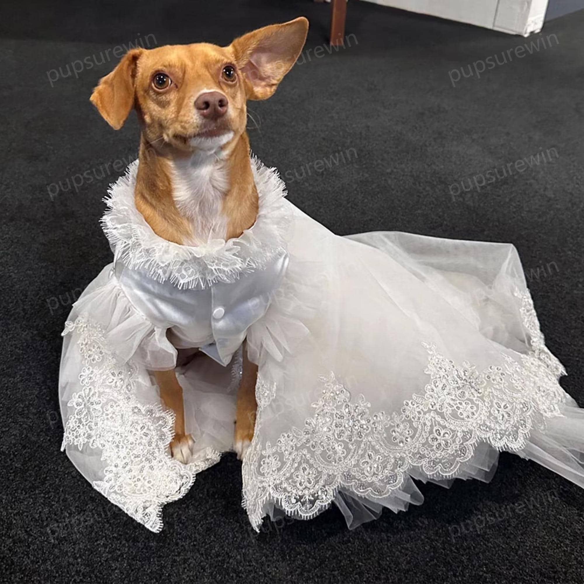 カスタムサイズの犬用ウェディングドレス ロングトレーンガウン、花嫁