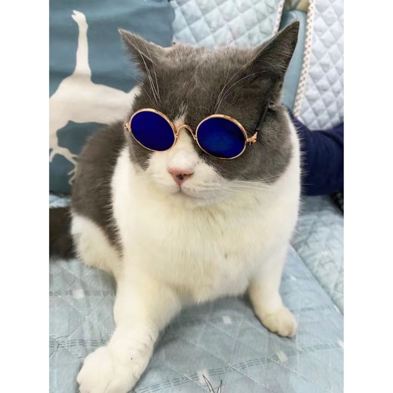 Lunettes de soleil d'été pour chat, accessoires de costume de petit chat, lunettes de soleil élégantes de chat accessoire de photo d'animal de compagnie, lunettes d'animal de compagnie de chien de chat de chaton, cadeau d'amant d'animal familier image 7