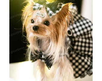 Maßgeschneidertes Gingham-Hundekleid, elegantes Vintage-Haustierkostüm in Schwarz-Weiß-Karo, handgefertigtes Katzenoutfit