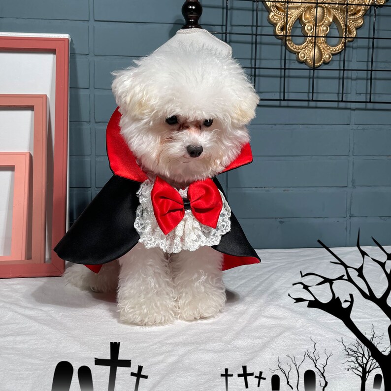 Cat Dog Vampire Costume Halloween, Dog Dracula Count Cloak, Pet Cosplay Outfit Twilight Inspired, Gothic Demon Cape Wizard Uniform Custom image 5