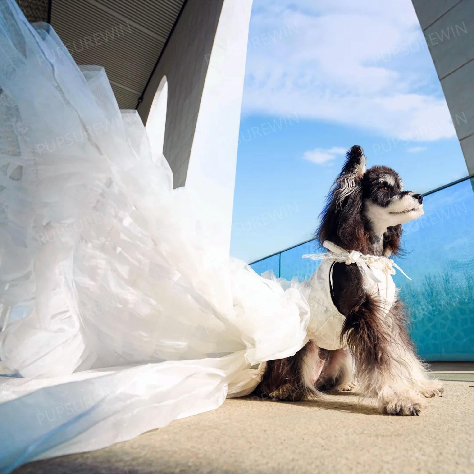 Medium Dog Bridesmaid Dress - Etsy Medium Dog Bridesmaid Dress - Etsy