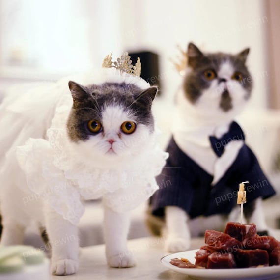 猫のウェディングドレス ホワイト、猫の花嫁介添人コスチューム