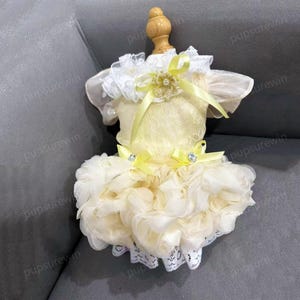 Wedding Dog Dress Champagne, Flower Girl Dog Dress,  Dog Birthday Dress,Luxury Rose Princess Costume for Large Dogs Cats,Custom Pets Clothes