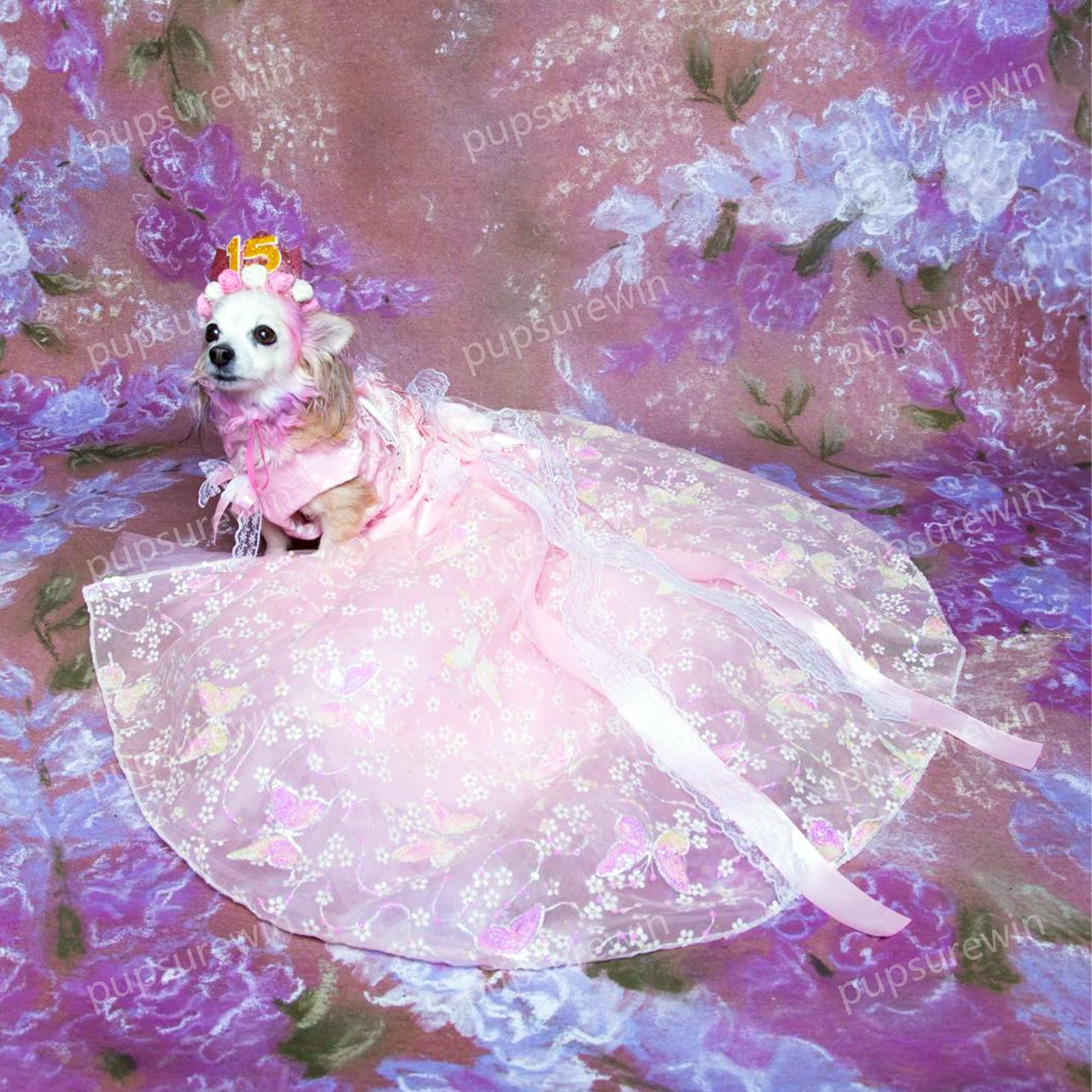 Custom Wedding Dog Dress With a Long Train, Sparkling Butterfly
