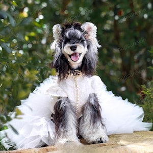 犬と猫用のカスタムウェディングロングトレインガウン、ホワイトパールチュールドレスの花嫁介添人犬用コスチューム、誕生日のキンセアネーラ衣装ペット服