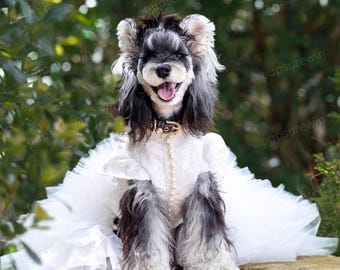 May include: A happy dog wearing a white dress with a layered skirt and pearl accents. The dog has black and gray fur and is wearing a brown collar with a gold buckle. The background is a blurred green.