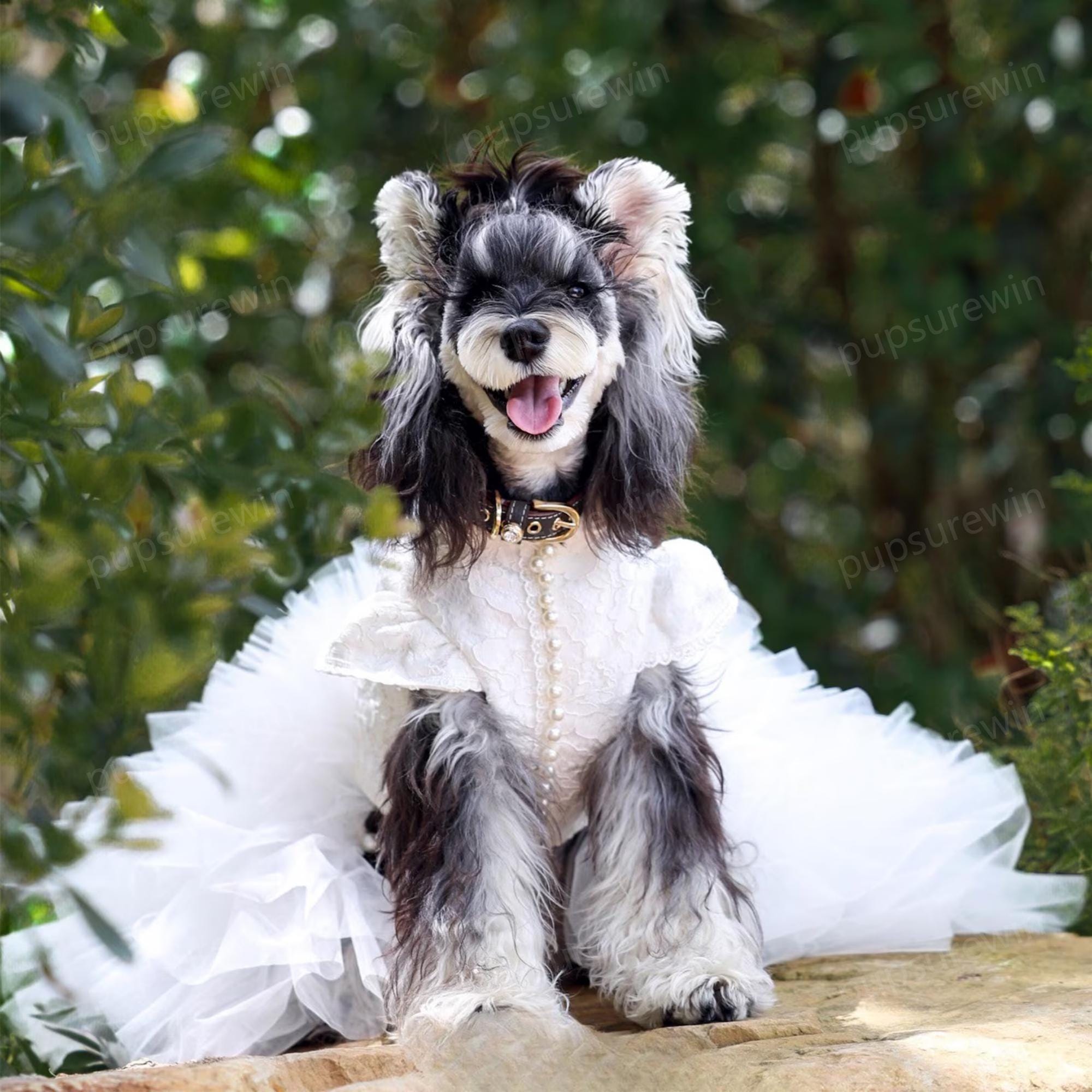 Custom Wedding Long Train Gown for Dogs and Cats, White Pearl