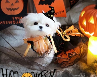 Dog Witch Costume Halloween, Pumpkin Orange Tutu Dress for Dogs Cats Cosplay Party,Twilight Dracula Vampire Bride Costume Pet Clothes Custom