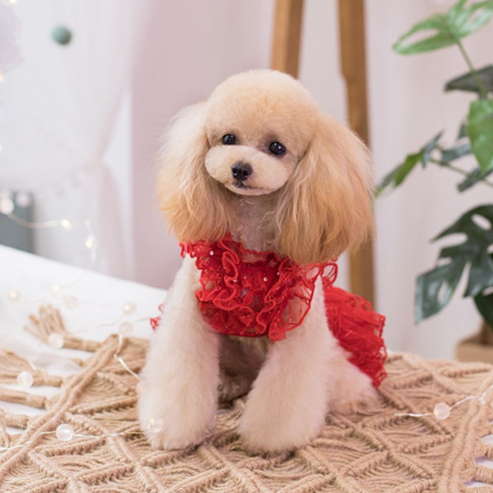 Dog Wedding Dress Bridesmaid Red Costume Birthday Holiday Etsy
