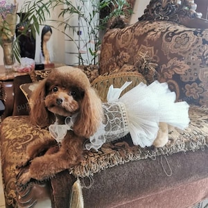 Sommer-Hundehochzeitskleid, weißes Spitzen-Tutu-Kleid-Brautjungfer-Kostüm für große Hunde und Katzen, kundenspezifische Haustier-Kleidung, Hundeprinzessin-Geburtstags-Kleid