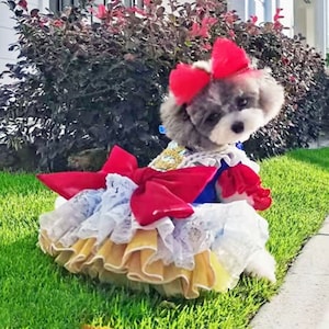 Halloween Dog Costume Inspired from Snow White Princess, Blue Red Tulle Dress for Large Dogs and Cats, Birthday Gown Pet Clothes Custom Size