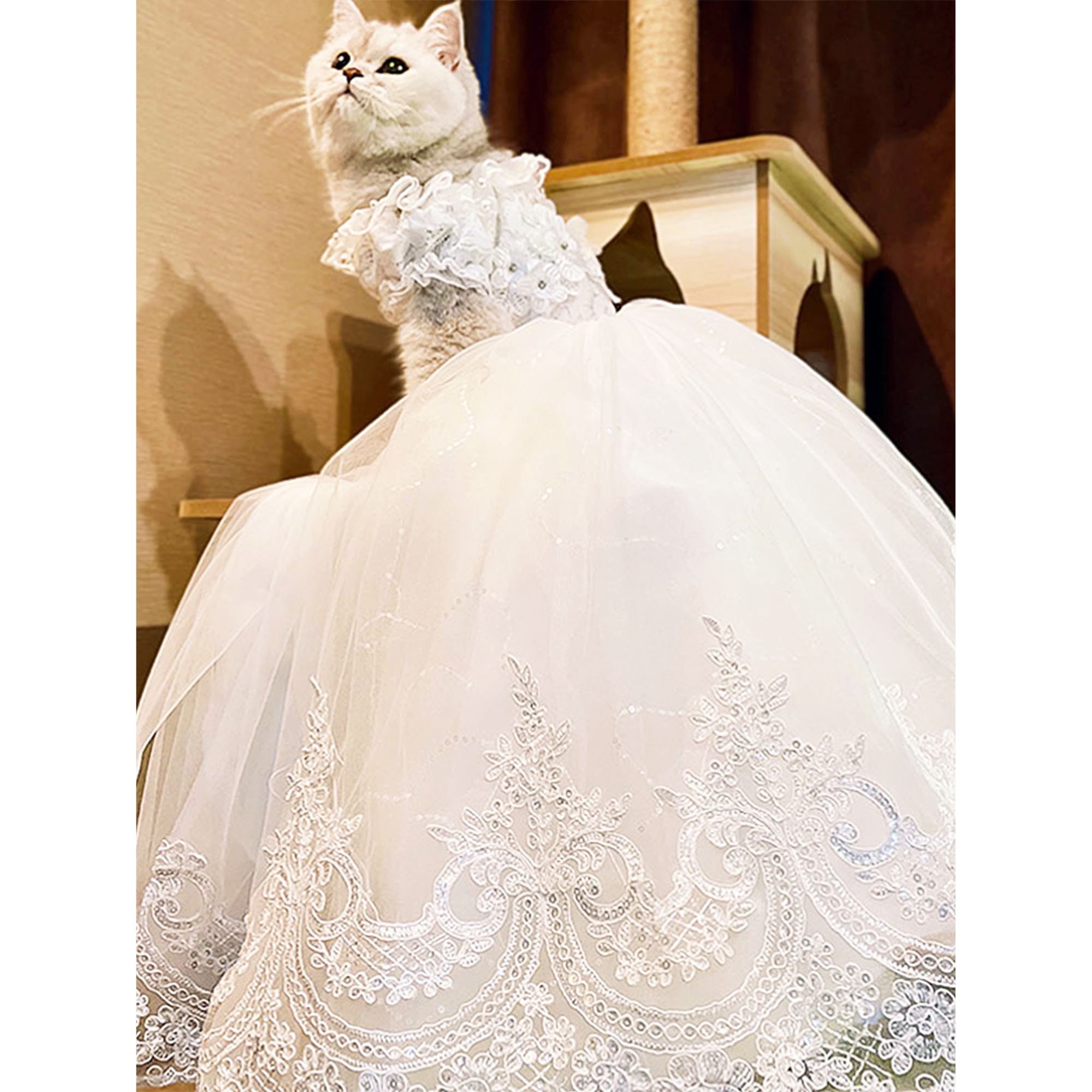 Customize Handmade Princess Champagne Veil Trailing Dress Wedding Court  Bride Costume for Women