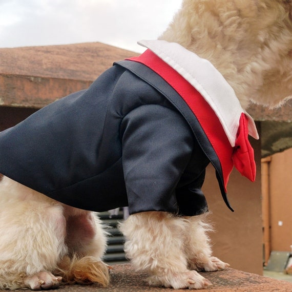 Dog cap and gown costume online