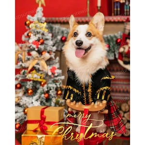 May include: A corgi dog wearing a black and gold Christmas outfit with a red tartan skirt, sitting on a red toy sledge with the words "merry christmas" in gold lettering.