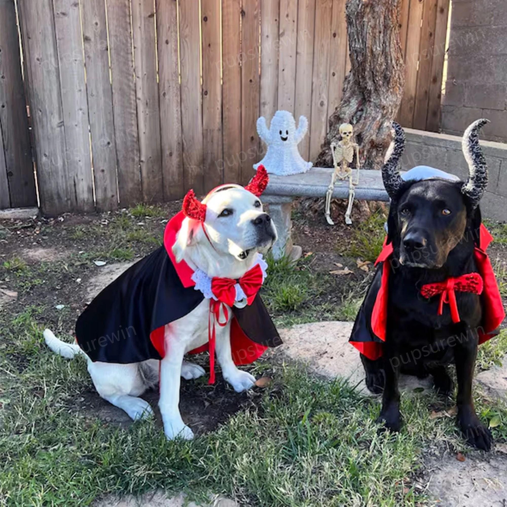 Costume Da Vampiro Per Cani E Gatti - Mantello Elegante Per Halloween - Foto 6