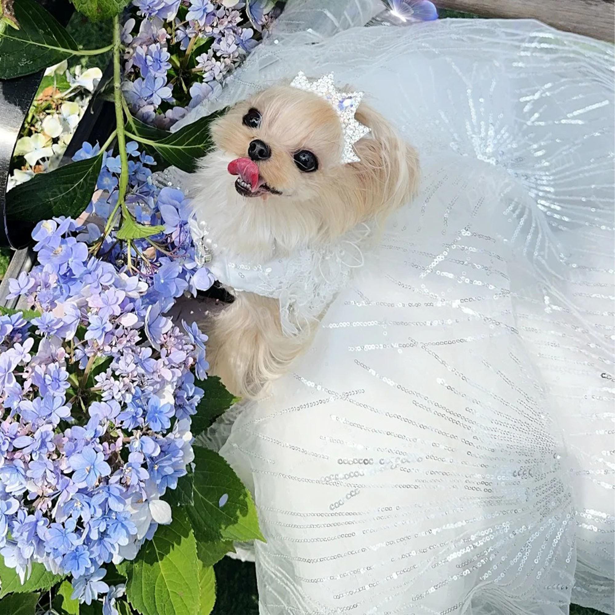 Custom Dog Wedding Dress Sparkly White Long Train Gown, Bride