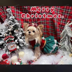 Dog Christmas Costume Xmas Party Santa Dress, Fancy Red Green Tutu Dress for Dogs and Cats, Custom Pet Clothes Pet Xmas Costume Xmas Gift