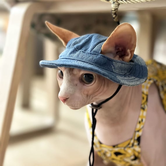 Sphynx Cat Bucket Hat With Ear Holes, Hairless Cat Summer Hat, Cat