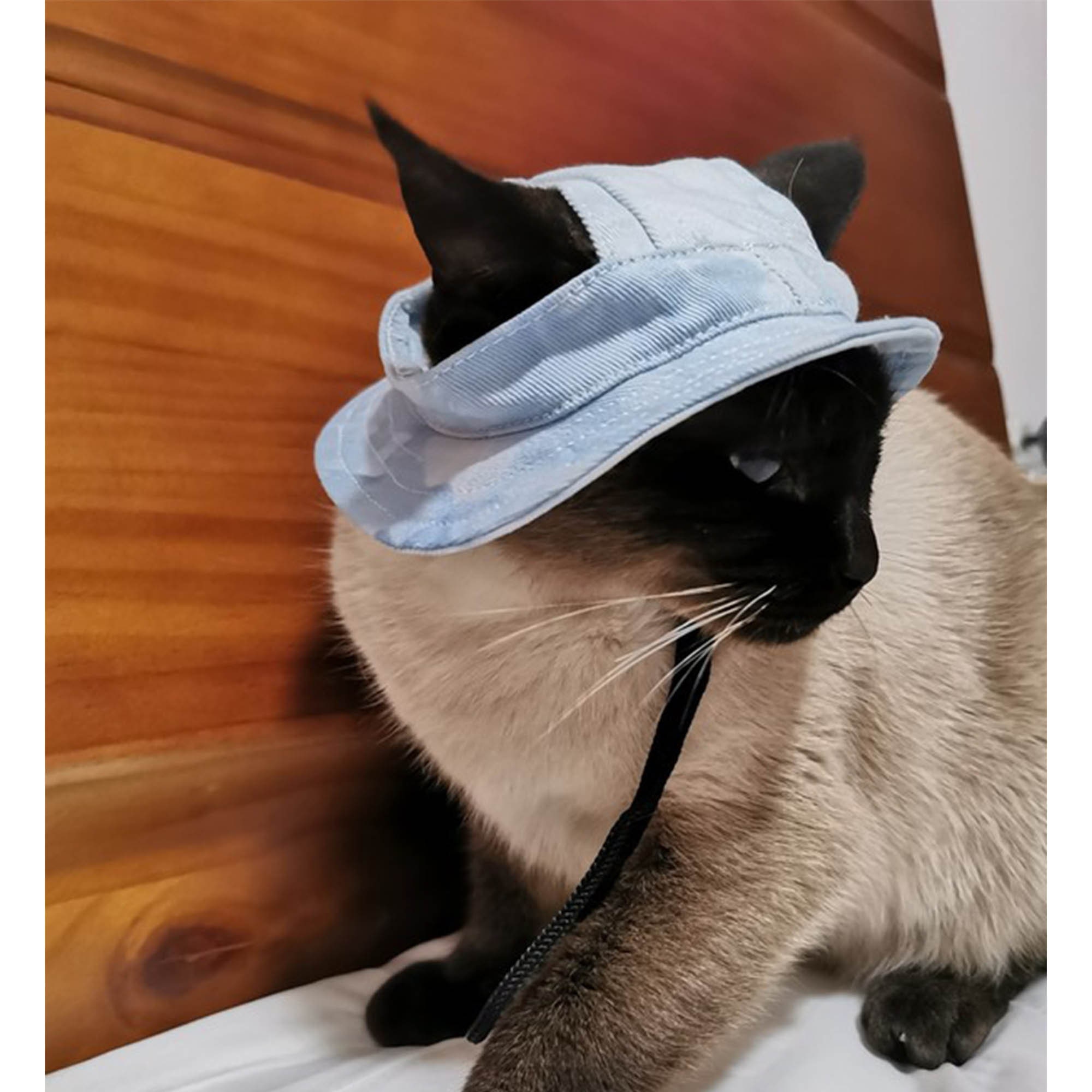 Dog Bucket Hat With Ear Holes Summer 