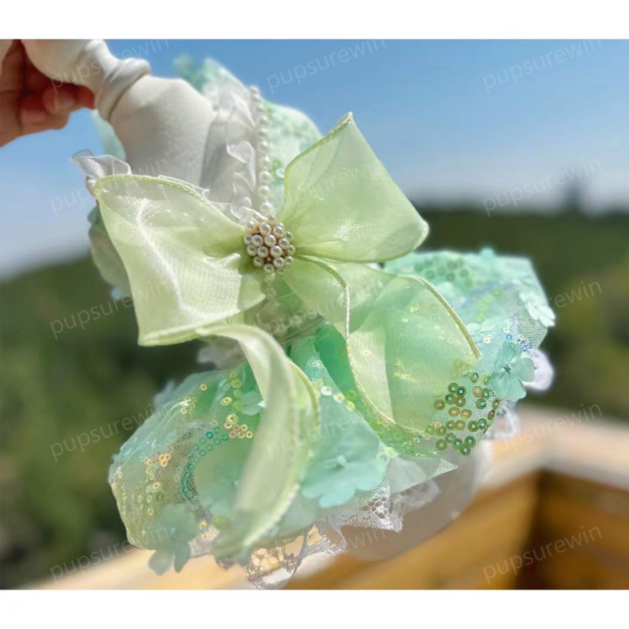 Mint Green Dog Dress - Etsy Israel