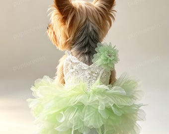 Custom Flower Fairy Pet Tutu Dress, Mint Green Beaded Wedding Gown for Small Medium Large Dogs & Cats, Spring Summer Woodland Costume