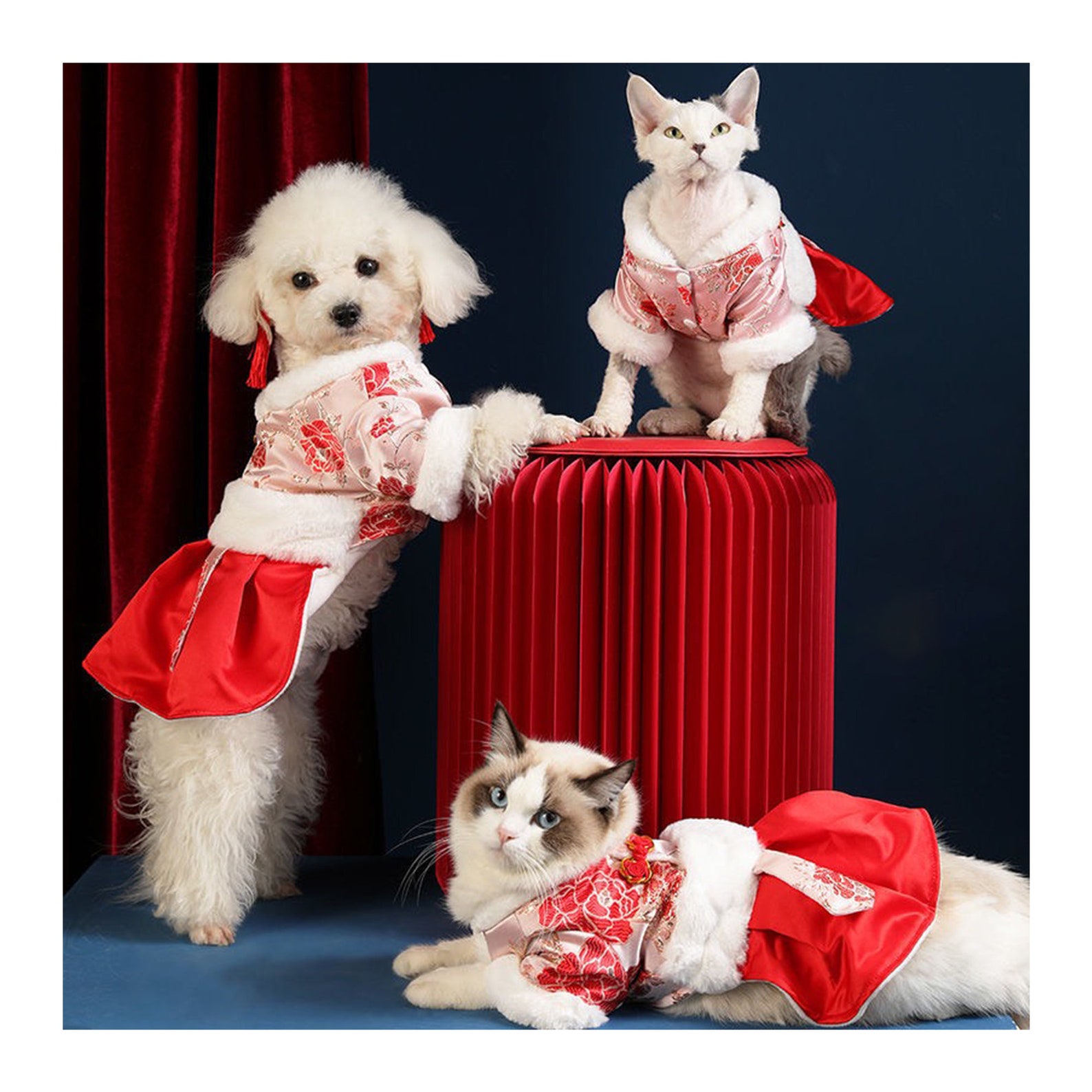 2021 New Year Dog Outfit Chinese Spring Festival Dog Costume | Etsy