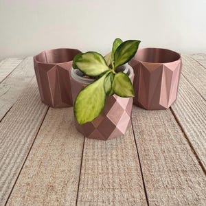 May include: Three rose gold geometric planters with a faceted surface. One planter contains a small plant with variegated green and cream leaves. The planters have a cylindrical shape with sharp, angular edges and a smooth, metallic finish.
