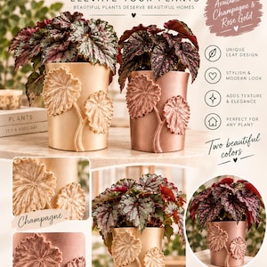 May include: Two cylindrical cache pots in champagne and rose gold finishes, each featuring raised, textured leaf motifs on the exterior. The pots contain potted plants with variegated foliage. Text includes "PLANT LOVERS Cache Pots".