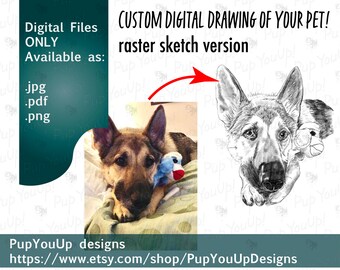 Custom Digital Dog or Pet Sketched Drawing - Raster File for Lasers or Printing