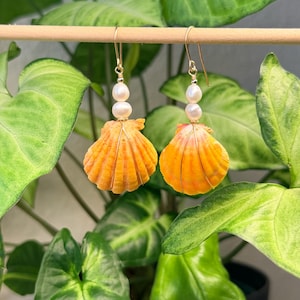 May include: A pair of dangle earrings featuring bright orange scallop shells wrapped in thin gold wire. Each earring is accented with two small, white, oval-shaped freshwater pearls positioned above the shell, suspended from gold-toned ear hooks.