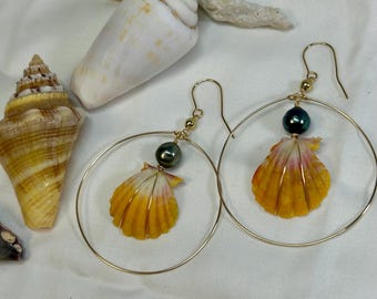May include: Gold hoop earrings featuring a yellow and white seashell pendant and a dark green pearl. The earrings are displayed with seashells on a white surface, evoking a beachy theme. The earrings are a unique jewelry item.